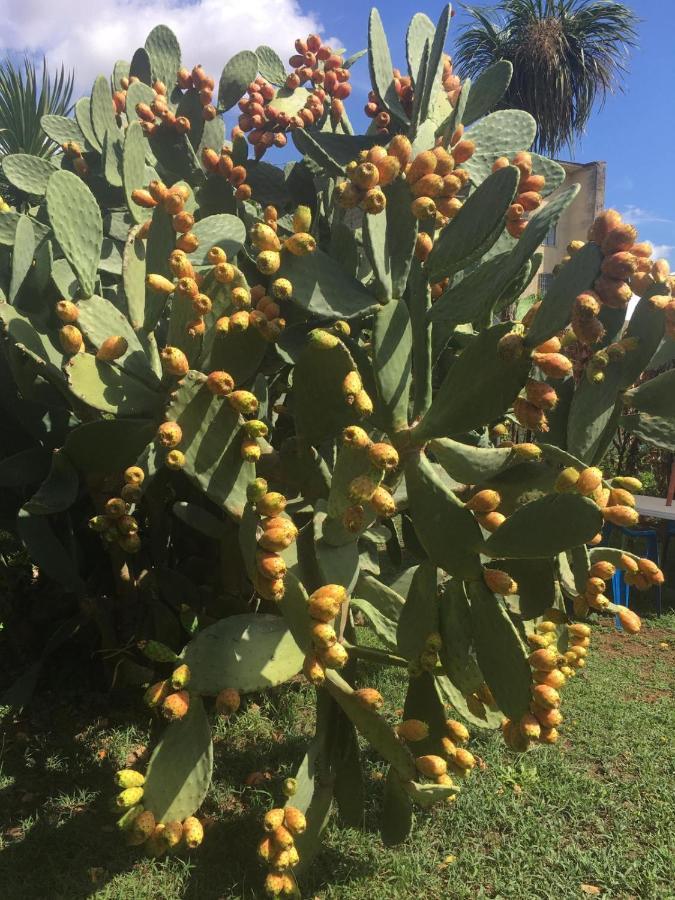 Il Giardino Degli Agrumi Caserta Bagian luar foto