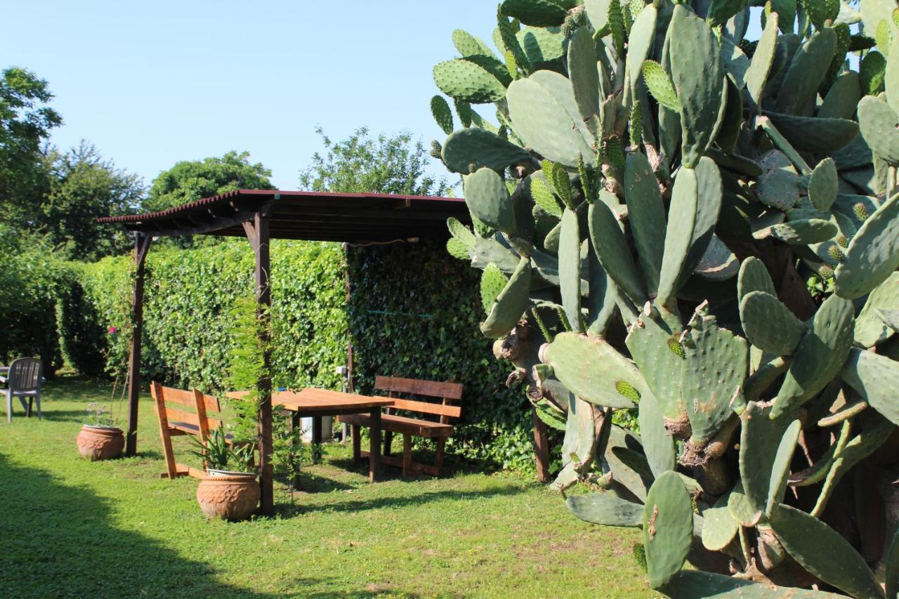 Il Giardino Degli Agrumi Caserta Bagian luar foto