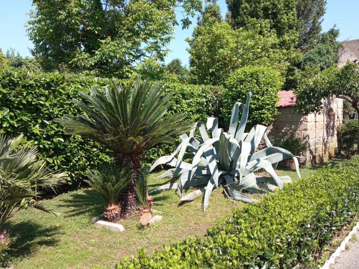 Il Giardino Degli Agrumi Caserta Bagian luar foto
