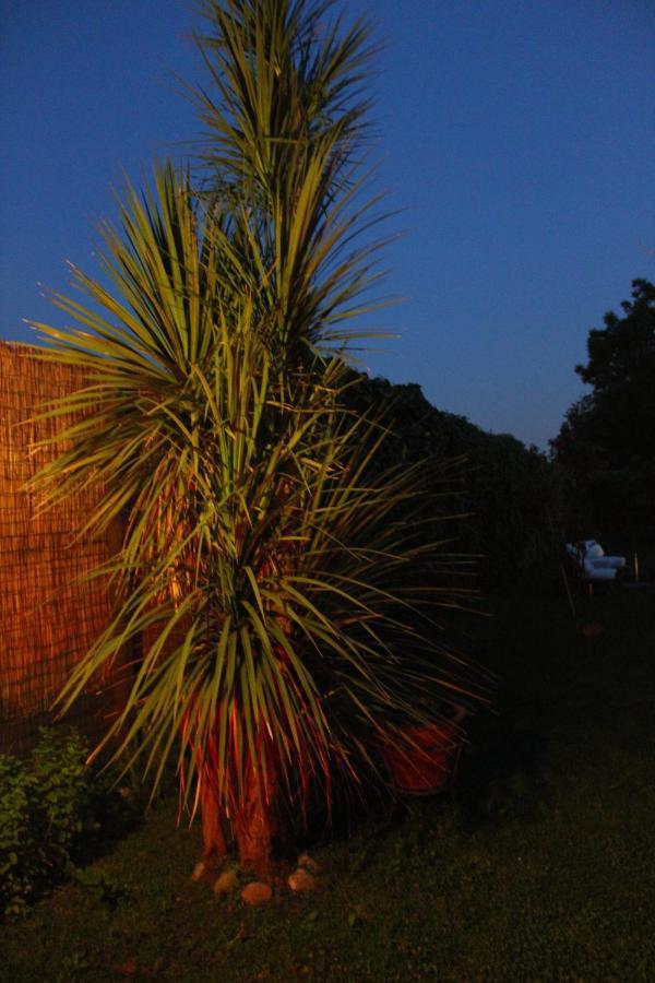 Il Giardino Degli Agrumi Caserta Bagian luar foto
