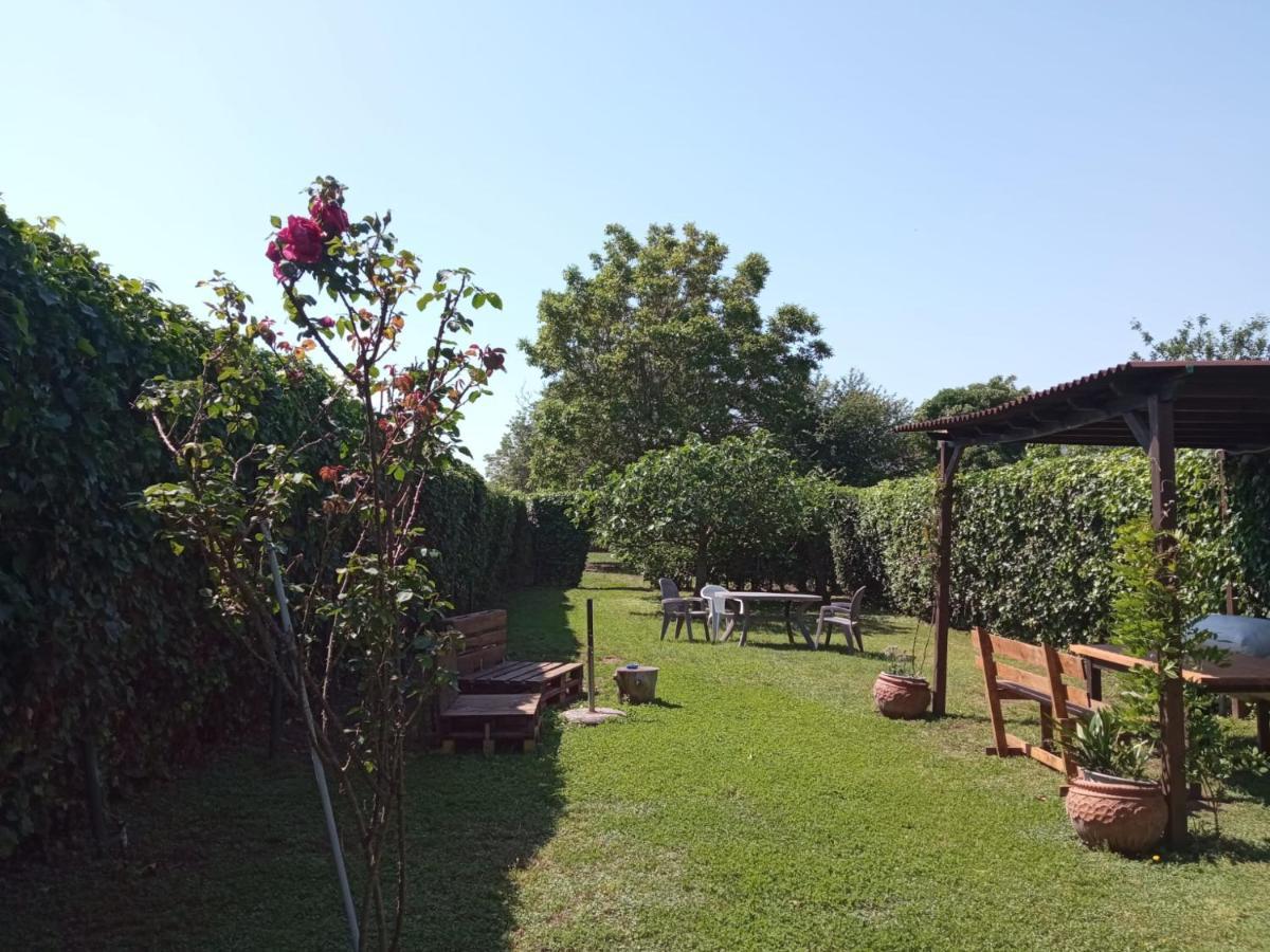 Il Giardino Degli Agrumi Caserta Bagian luar foto