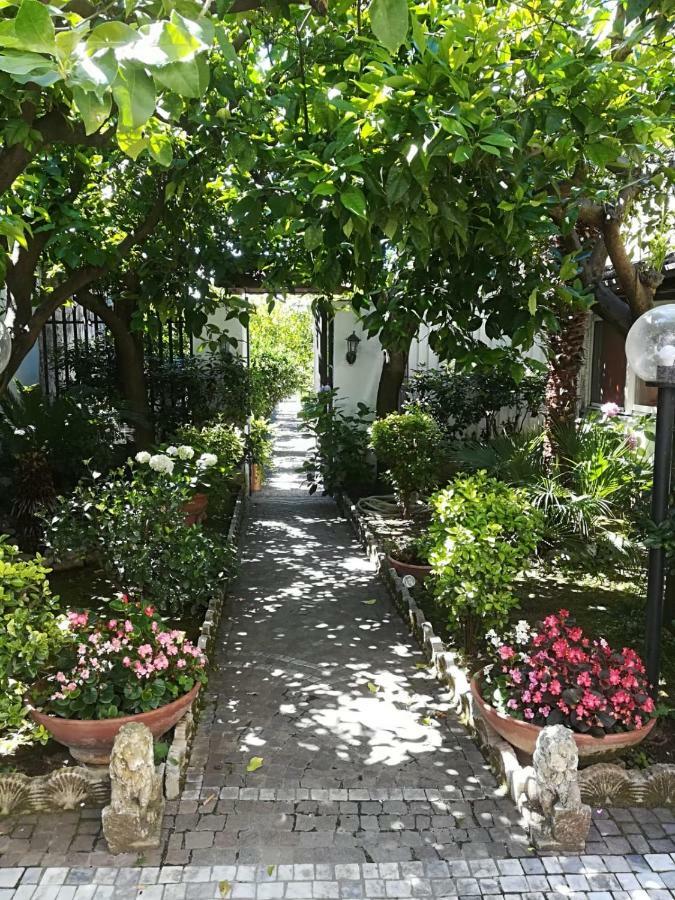 Il Giardino Degli Agrumi Caserta Bagian luar foto