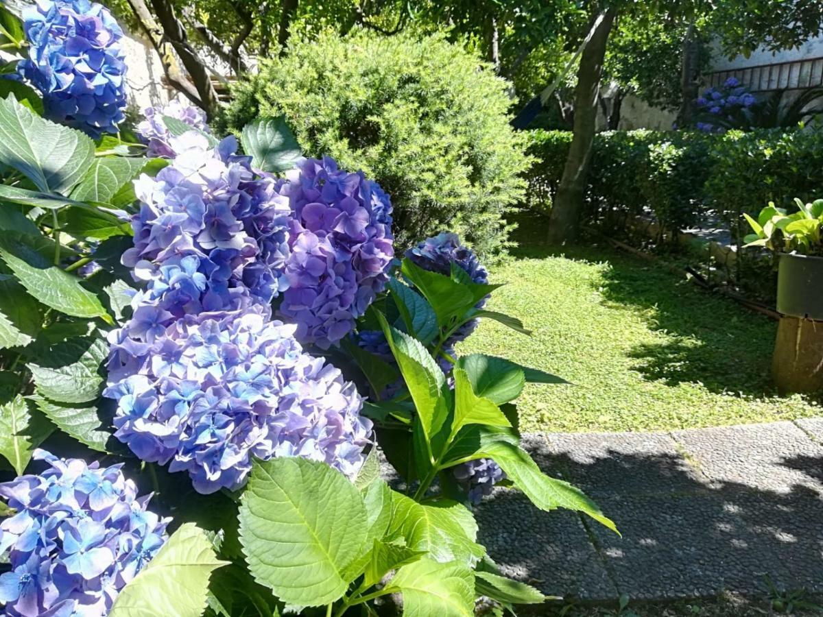 Il Giardino Degli Agrumi Caserta Bagian luar foto